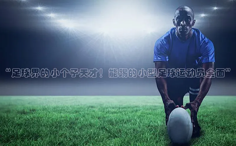 贝博官网官方娱乐度小满支付“足球界的小个子天才！能踢的小型足球运动员全面”