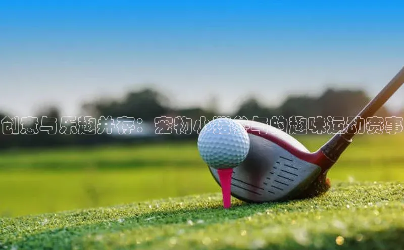 bb体育官网app下载巴美列捷福创意与乐趣并存：宠物小猪参与的趣味运动赛事