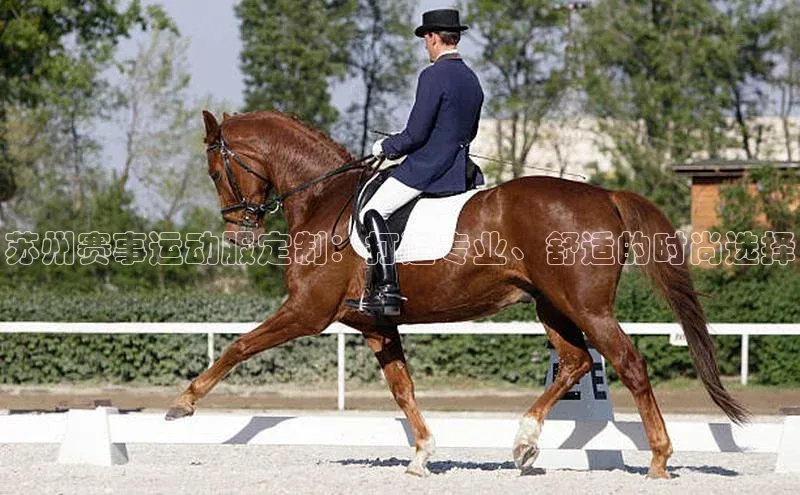 贝博app体育下载安装颐驰 06苏州赛事运动服定制：打造专业、舒适的时尚选择