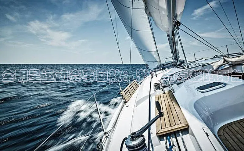 全明星运动赛事回放：激情与卓越的舞台