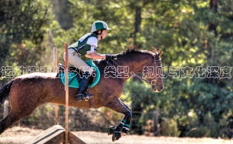 运动赛事的多样：类型、规则与文化深度