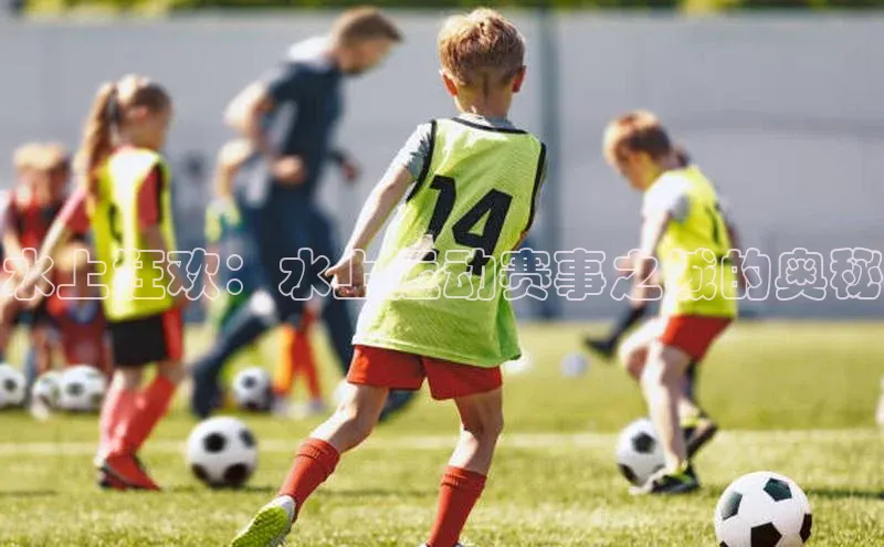 水上狂欢：水上运动赛事之城的奥秘