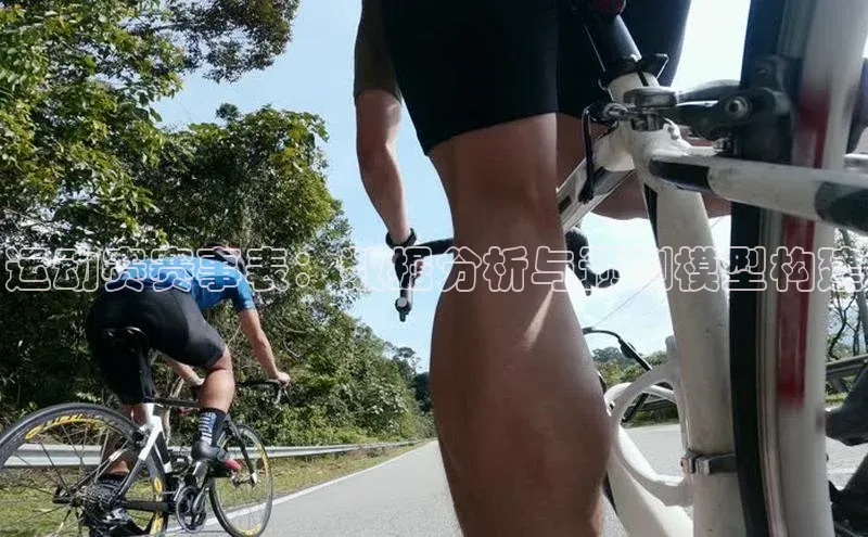 运动赛赛事表：数据分析与预测模型构建