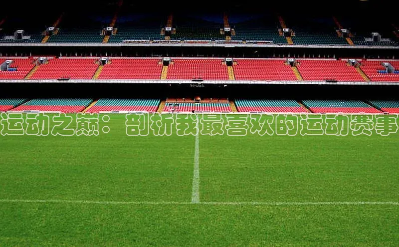 运动之巅：剖析我最喜欢的运动赛事