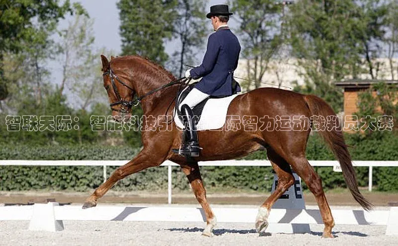 智联天际：智能科技引领的国际智力运动裁判员大赛