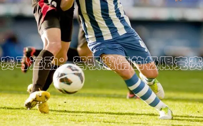 赛马运动：驾驭激情的极限竞赛