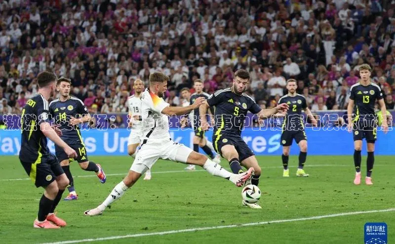 激燃社交战场：运动社交赛事中的健康与娱乐碰撞