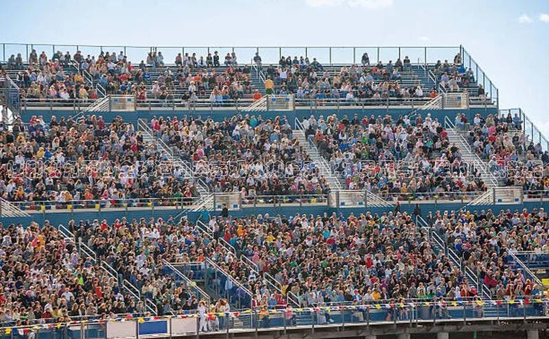 性别视角下的全球运动赛事观众热度对比：男足与女足的收视数据