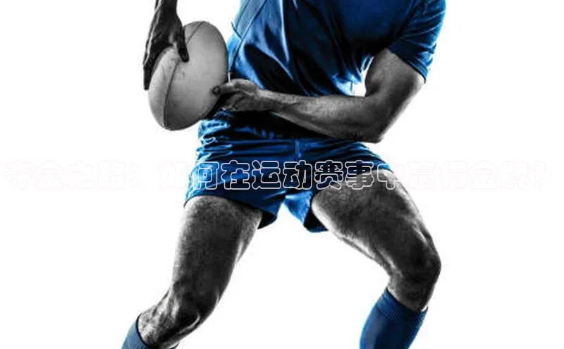 贝博betball体育app下载