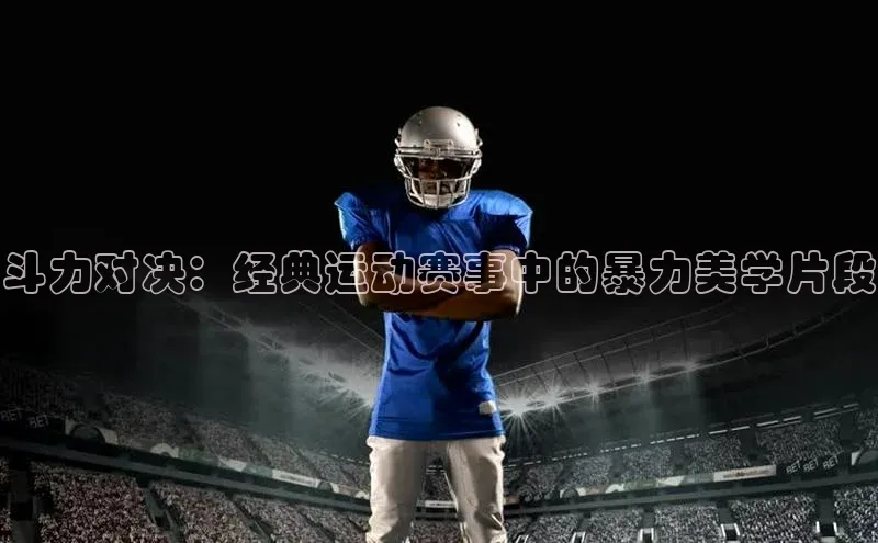 贝博平台客户端app