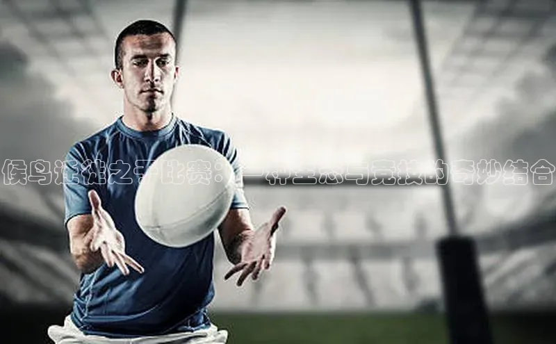 BB贝博ballbet登录入口