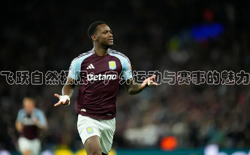 贝博平台网站谁知道